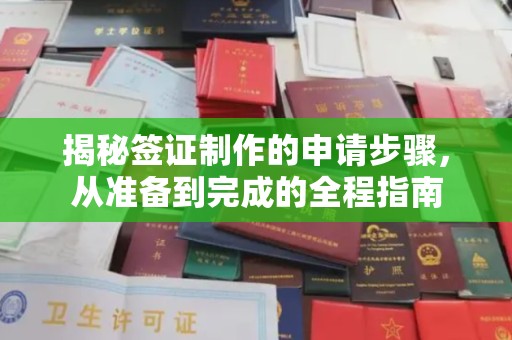 济阳揭秘签证制作的申请步骤，从准备到完成的全程指南